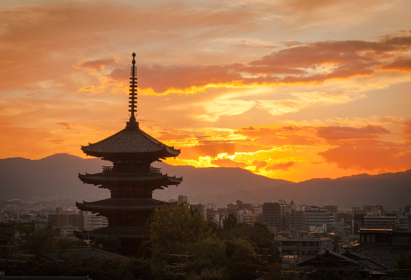 夕涼会のお知らせ